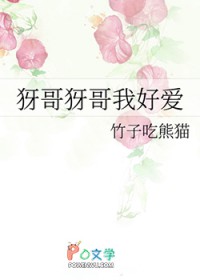 [猎人同人] 犽哥犽哥我好爱