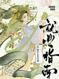 CEO后宫再就业指南